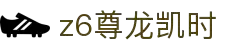 Z6尊龙·凯时(中国) - 官方网站